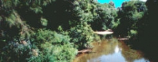 View from bridge entering Bowraville  © 2000 Photo by Nambucca Graphics